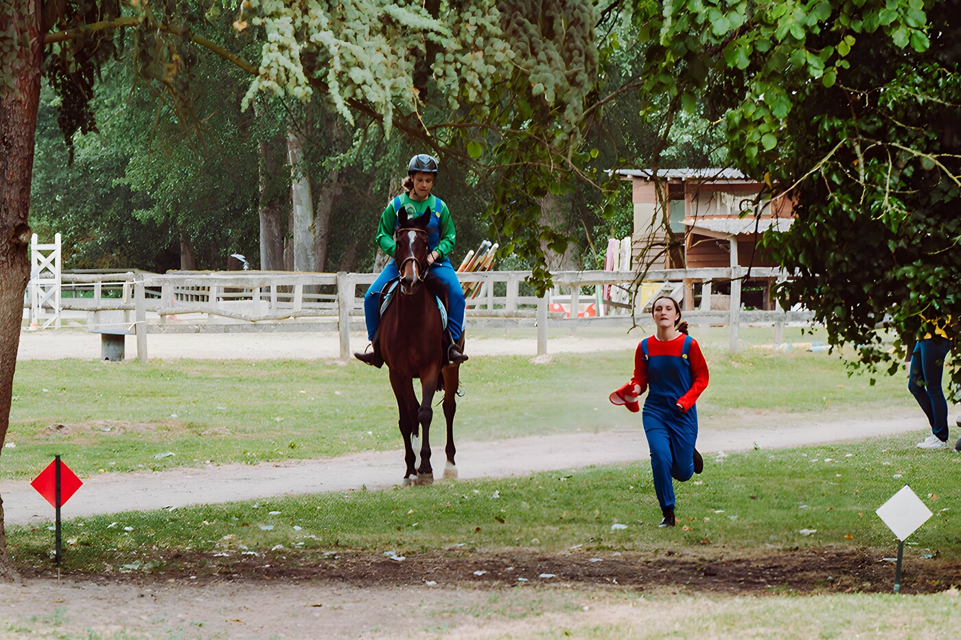 Groupes & Animations